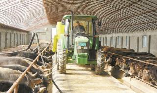 养殖合作社 养殖合作社